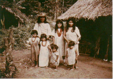 Kogi family