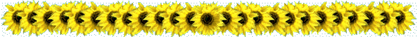 sunflowers.gif